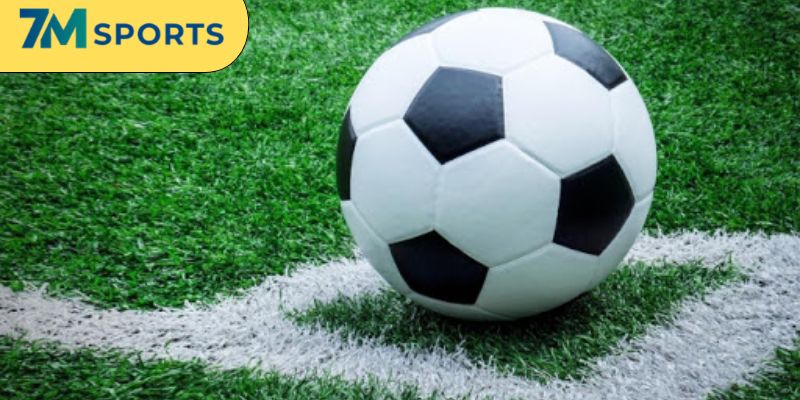 Các dạng biến thể thịnh hành của loại hình