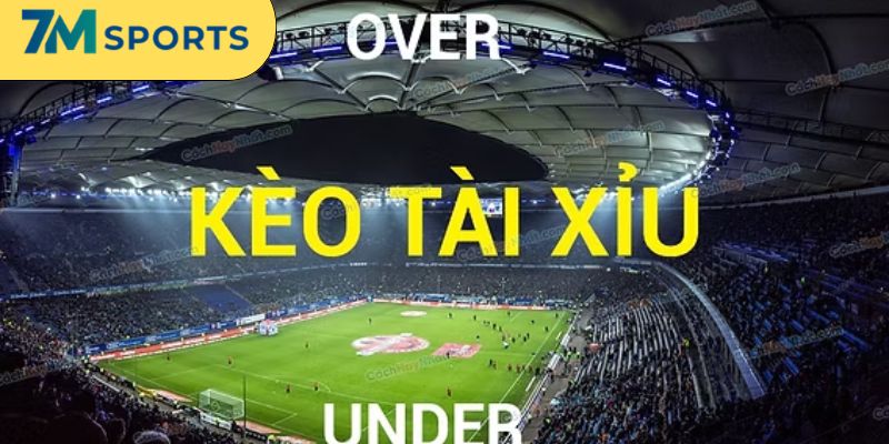 Hướng dẫn tính tiền cược Tài Xỉu 3/4 Trái